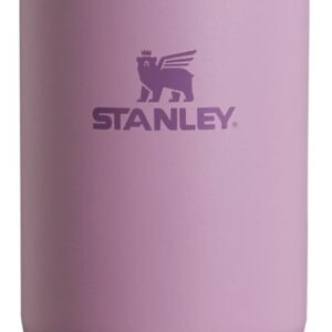Stanley IceFlow Flip Straw Tumbler with Handle 30 oz | Twist On Lid and Flip Up Straw | Leak Resistant Water Bottle | Insulated Stainless Steel |BPA-Free | Lilac